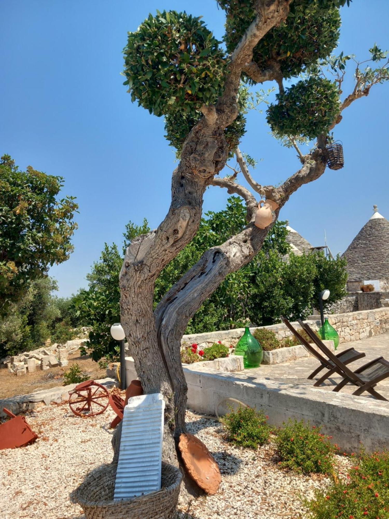 Country house Trullo Monte Del Sale *