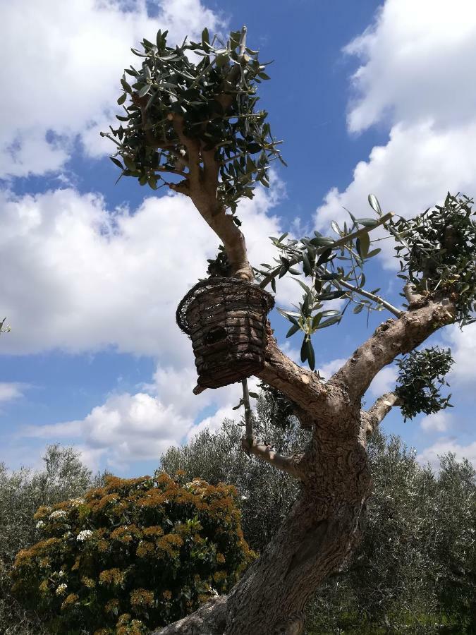 Country house Trullo Monte Del Sale Alberobello
